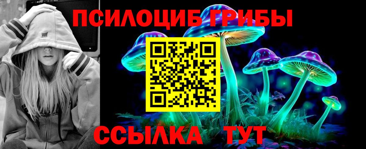 Рыбинск  Псилоцибиновые грибы Cubensis  купить закладку  Вход с VPN  Галлюциногенные грибы Psilocybe 